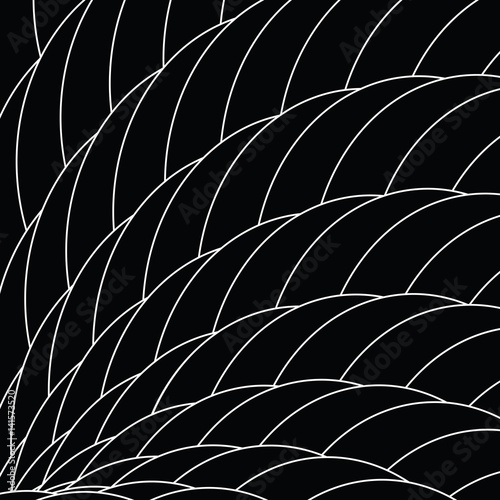 Black and white dragon scales. Abstract geometric background texture.