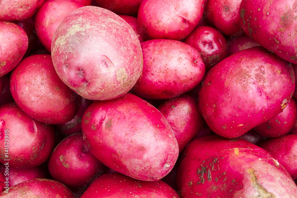 Vibrant fresh potatoes for sale at a farmer's market in Oregon Vibrant fresh potatoes for sale at a farmer's market in Oregon