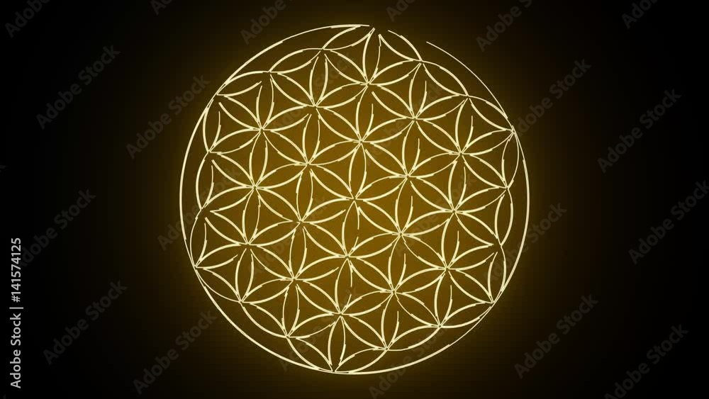 The Flower of Life Forming Sacred Geometry Symbol 