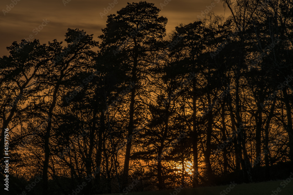 Sunset near Bezdez castle in spring evening Sunset near Bezdez castle in spring evening