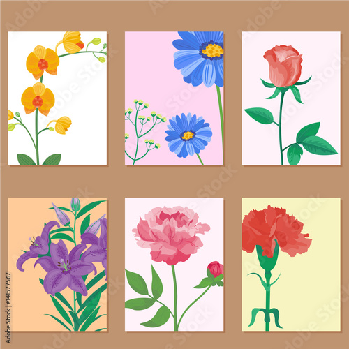 Cartoon petal vintage floral vector bouquet garden flower botanical natural p...