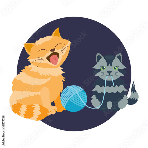 Cat breed cute kitten pet portrait fluffy young adorable cartoon animal and pretty fun play feline sitting mammal domestic kitty vector illustration.