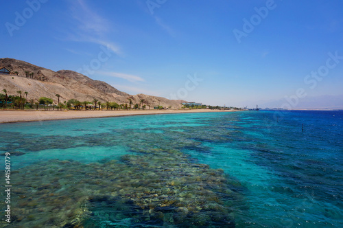 Coral reef Eilat