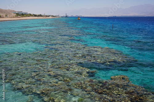 Reef Eilat