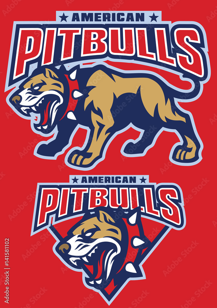 Big Muscular Pitbull dog Big Muscular Pitbull dog
