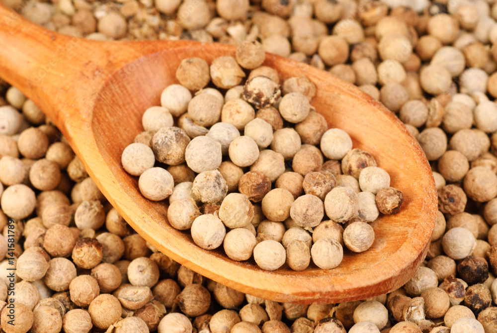 close up white pepper and wooden spoon as background