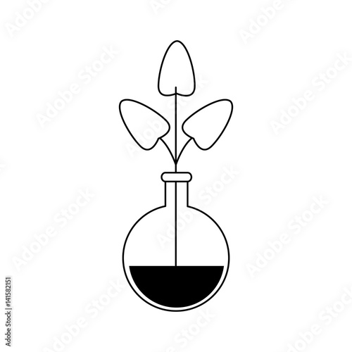 plant in a vase over white background. vector illustration