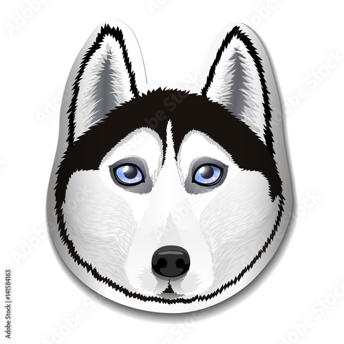 The dog of breed Husky. Portrait of Husky on the label. Logo, emblem, mascot. Vector illustration.