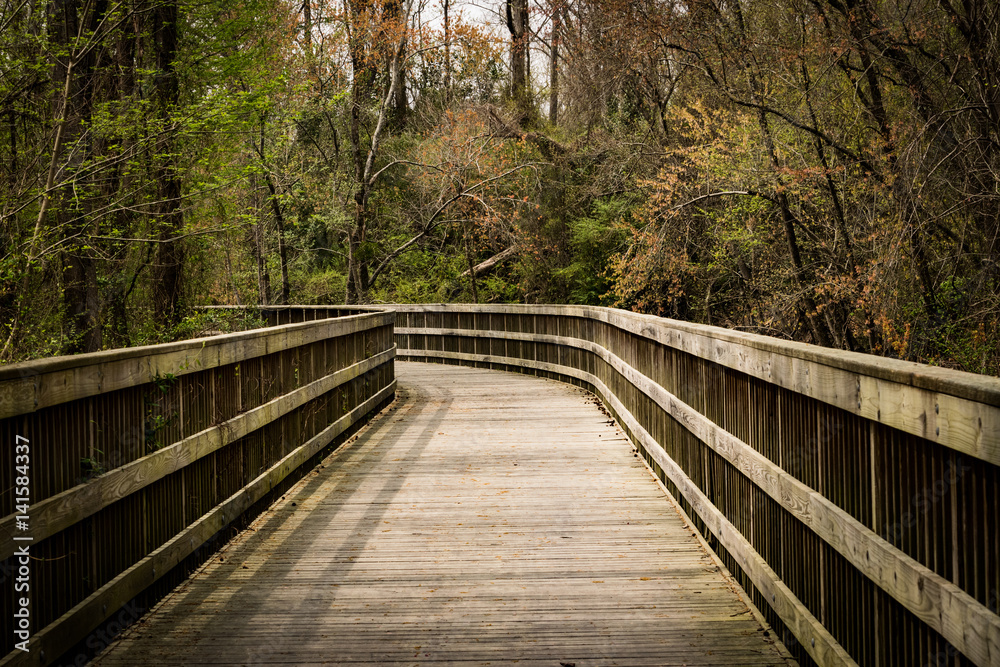 wooden bridge wooden bridge