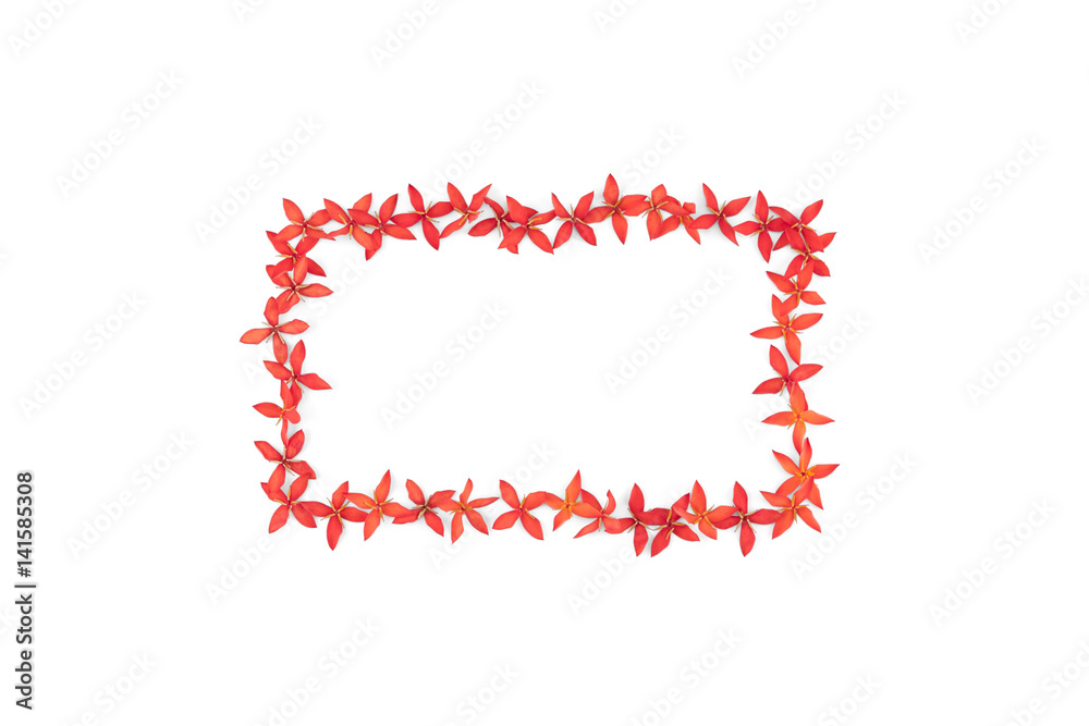 Rectangle red ixora flowers frame isolated on white background from top view Rectangle red ixora flowers frame isolated on white background from top view