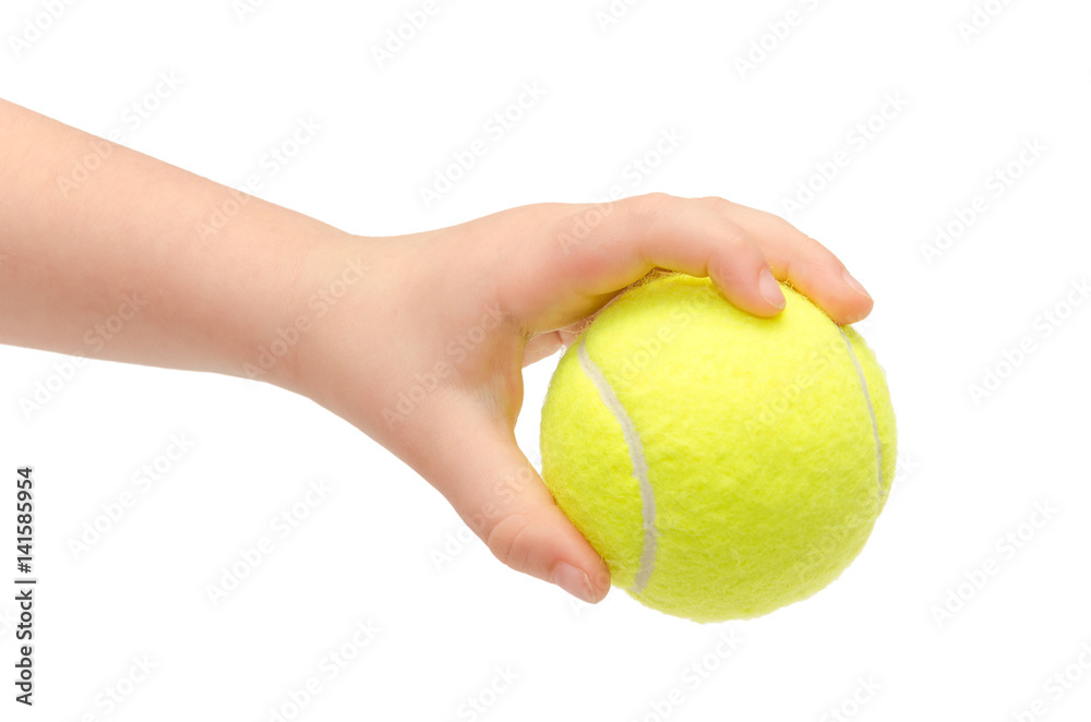 hand of young kid holding tennis ball. Stock Photo | Adobe Stock