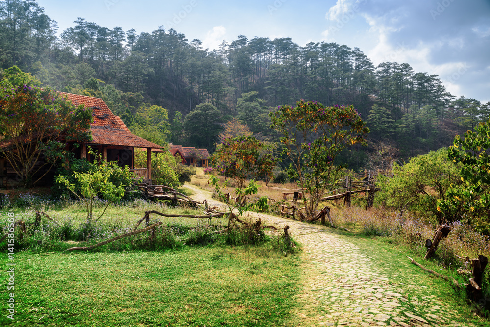 Rustic houses with tile roofs among green woods