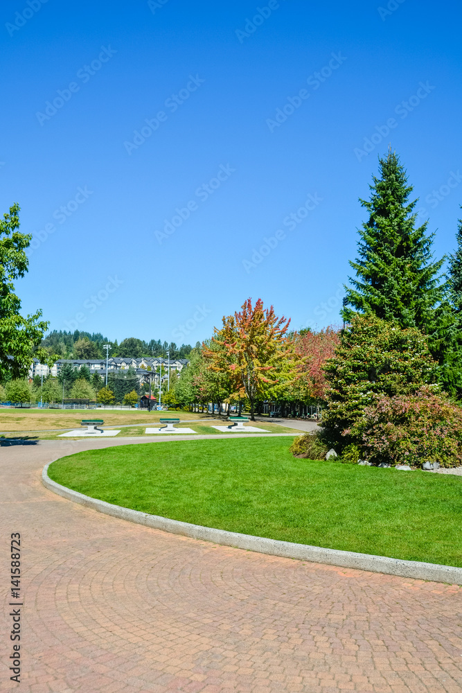 Park zone. Recreational area with green lawn and trees