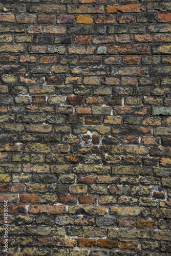 Brick wall texture