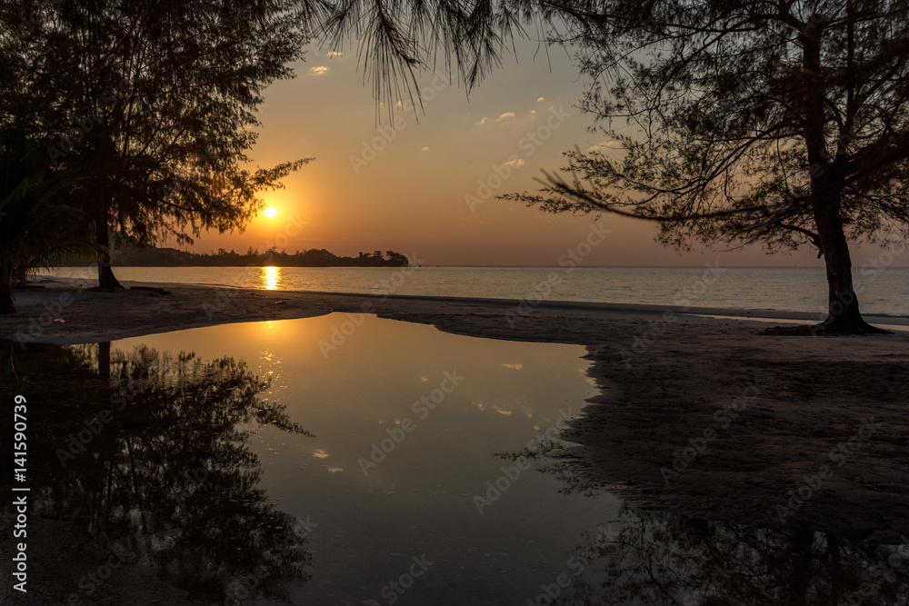 Trees growing on the beach reflecting in a pool at sunset golden hour. Trees growing on the beach reflecting in a pool at sunset golden hour.