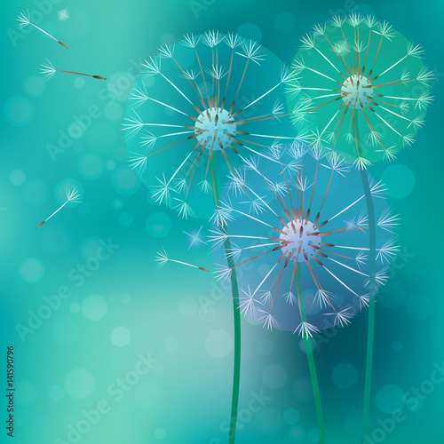 realistic dandelion with flying buds