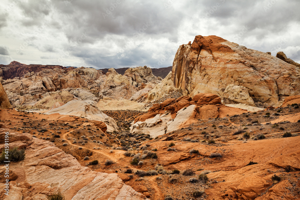 Scenic landscape of desert at southern Nevada, USA
