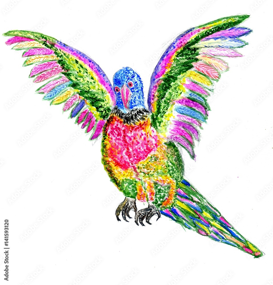 Obraz premium Cartoon Parrot Art