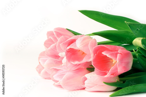 Spring bouquet of pink tulips