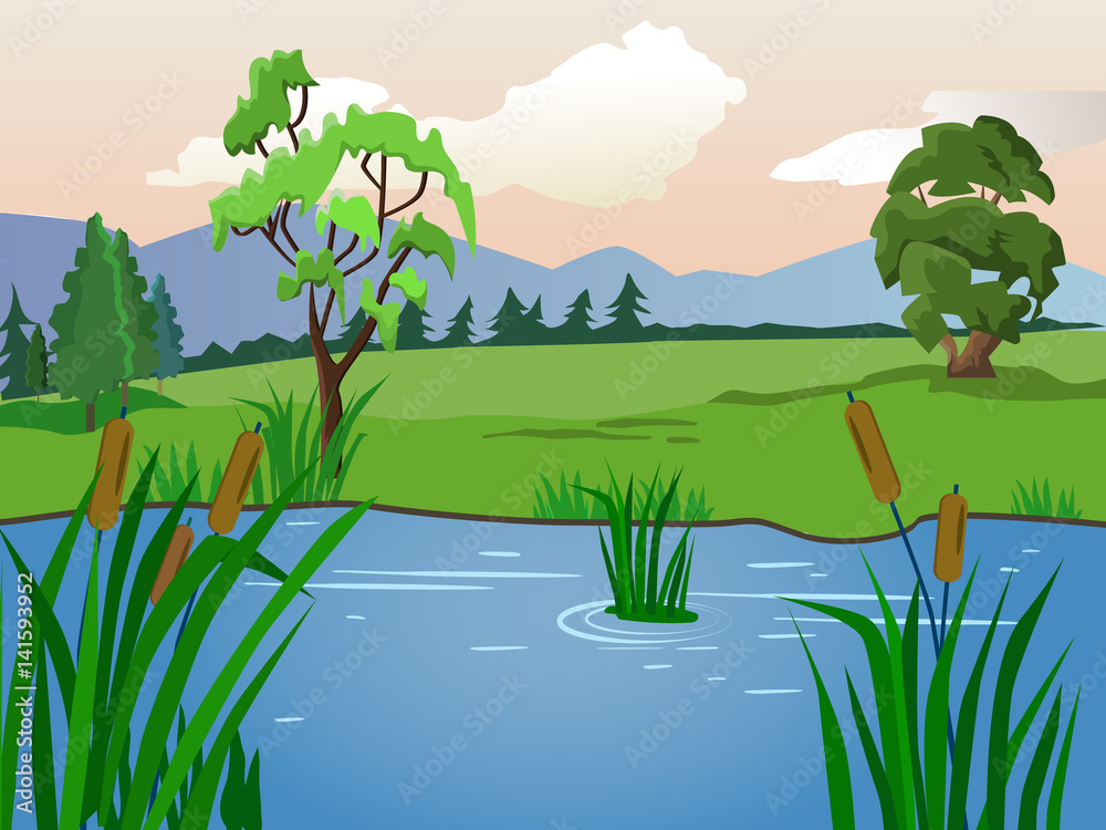 Fototapeta premium summer landscape. Lake with reeds. Clear weather.