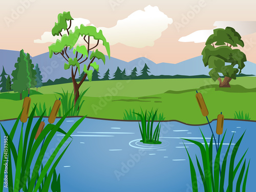 Fototapeta Naklejka Na Ścianę i Meble -  summer landscape. Lake with reeds. Clear weather.