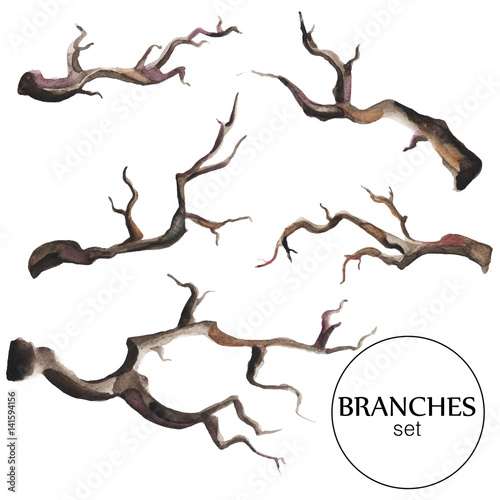 Hand drawn watercolor branches set.