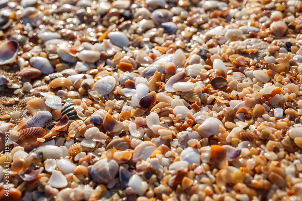 Sea pebbles closeup Sea pebbles closeup