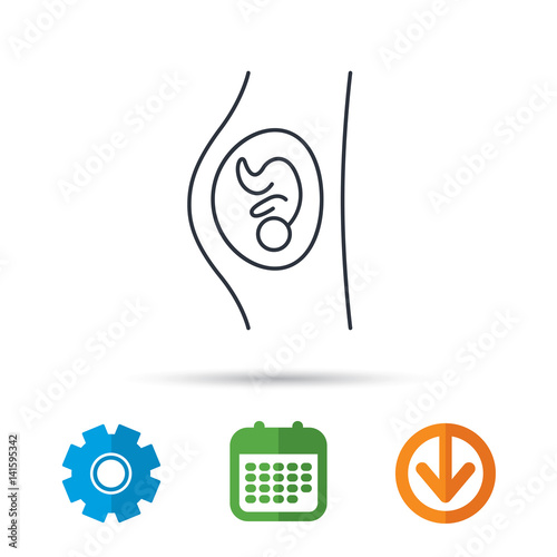 Pregnancy icon. Medical genecology sign. Obstetrics symbol. Calendar, cogwheel and download arrow signs. Colored flat web icons. Vector photo