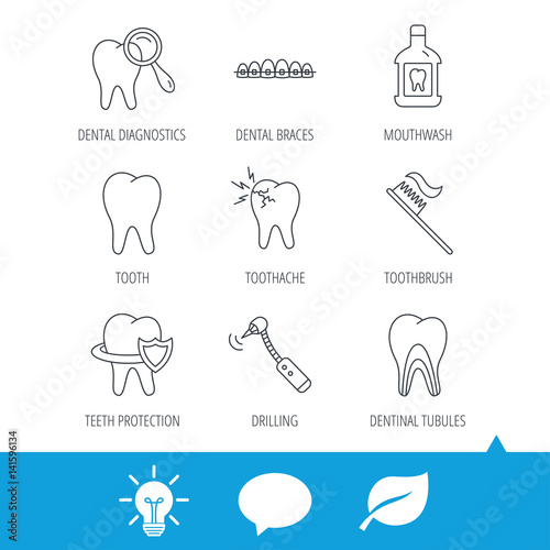 Tooth, dental braces and mouthwash icons. Diagnostics, toothbrush and toothache linear signs. Dentinal tubules, protection flat line icons. Light bulb, speech bubble and leaf web icons. Vector