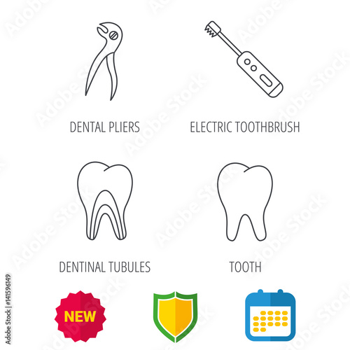 Tooth, electric toothbrush and pliers icons. Dentinal tubules linear sign. Shield protection, calendar and new tag web icons. Vector