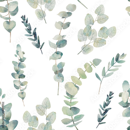 Fototapeta Akwarela eukaliptus oddziałów wzór. Ręcznie malowane kwiatowy tekstury z obiektów roślin na białym tle. Naturalna tapeta