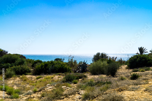 Beautiful View - Conrast, Desert and Sea