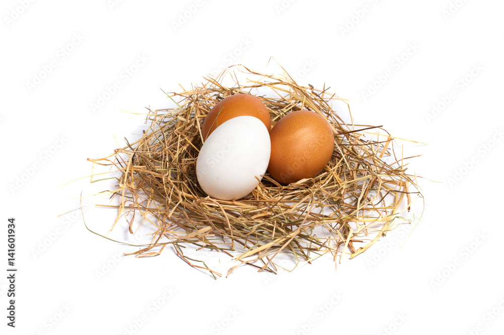 Eggs in the hay on a white background Eggs in the hay on a white background