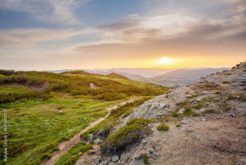 sunset in the mountains landscape. rock and .pine trees sunset in the mountains landscape. rock and .pine trees