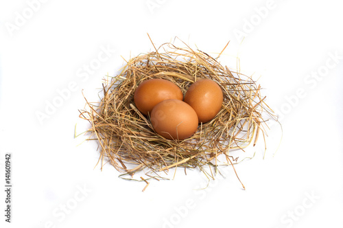 Eggs in the hay on a white background