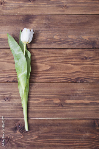 Fototapeta Naklejka Na Ścianę i Meble -  white tulip flower on  wooden background
