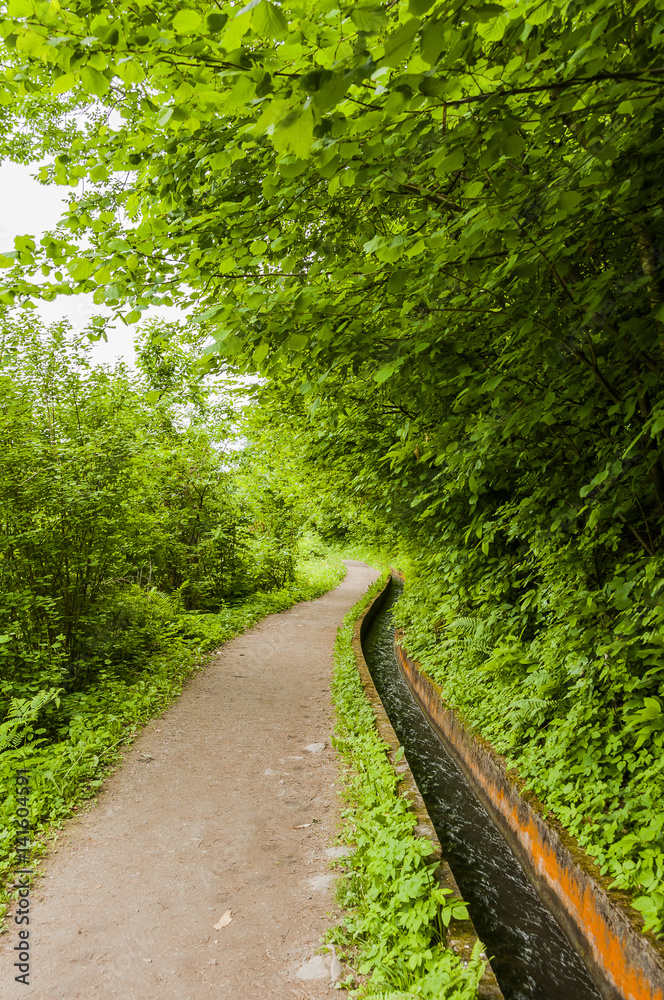 Marling, Marlinger Waalweg, Waalweg, Vinschgau, Algund, Wald, Waldweg, Wanderweg, Wandergruppe, Frühling, Südtirol, Italien