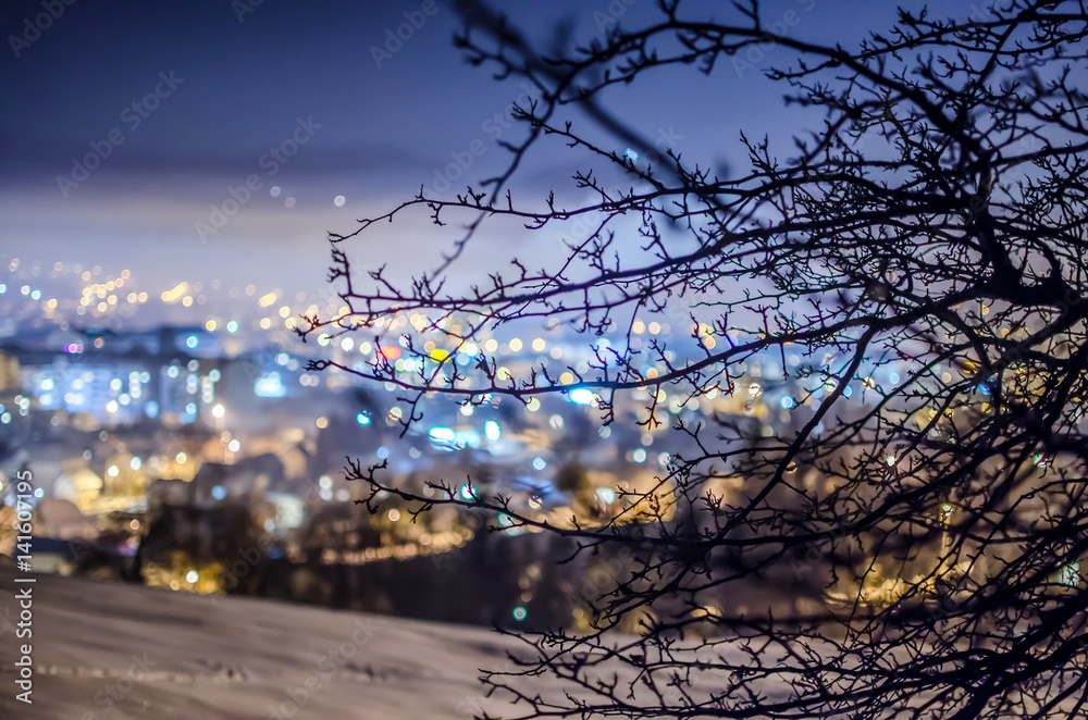 Fototapeta premium Night city landscape in winter. City lights in background at winter night.