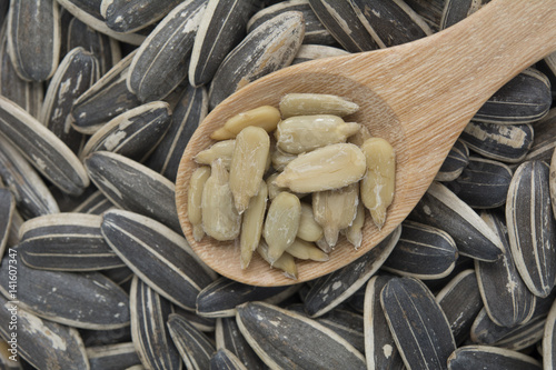 dried sunflower seeds on wooden spoon