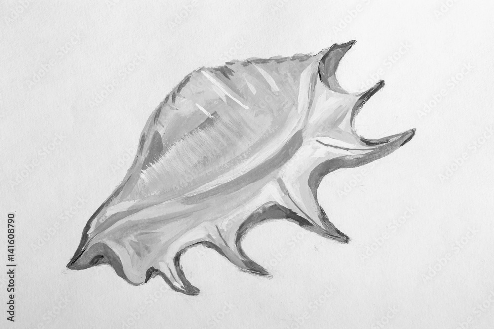 Naklejka premium texture painting still life painting sea shell,