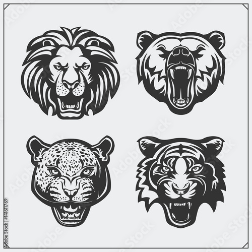 Illustrations of wild animals. Bear  lion  leopard and tiger.