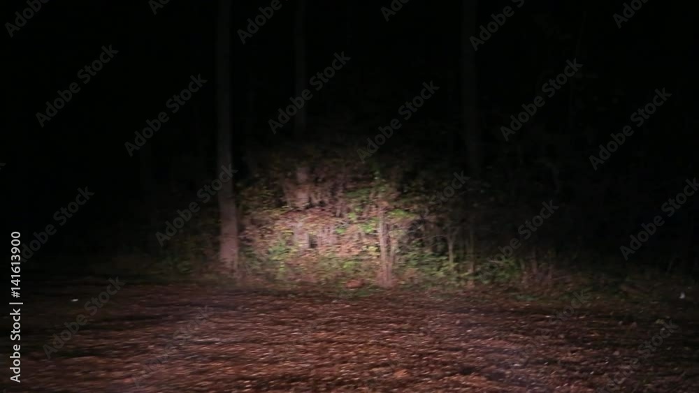 Driving on spooky dirtroad