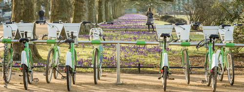 City bike rental station in spring park photo