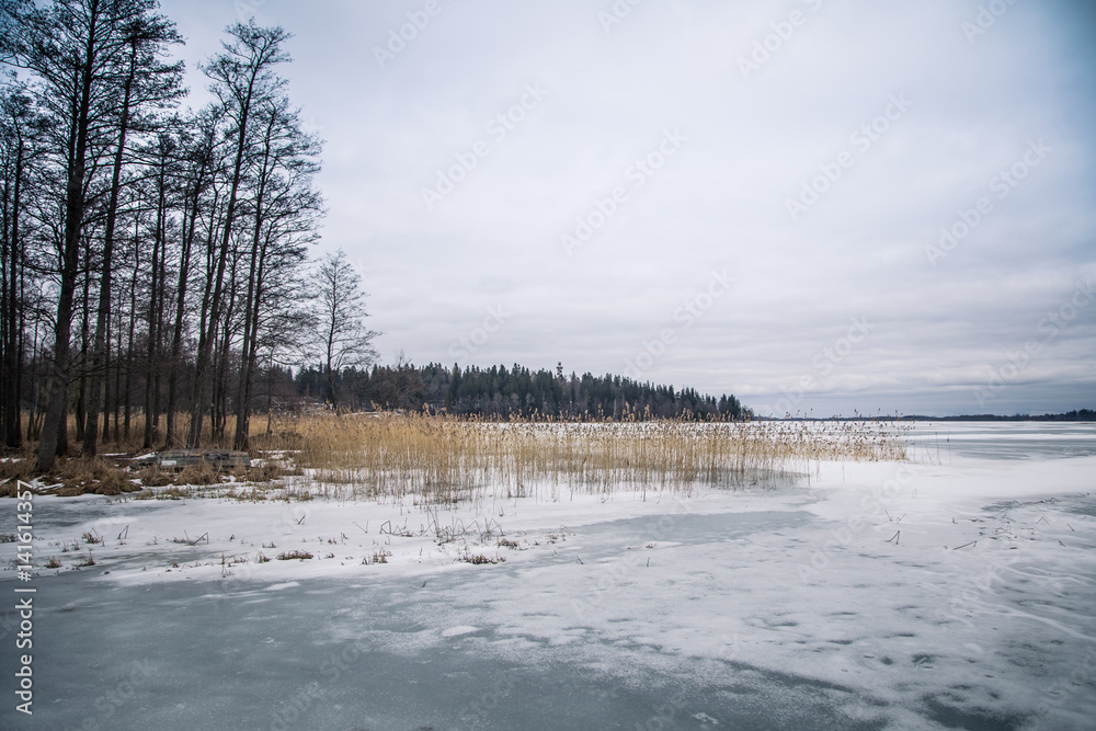 custom made wallpaper toronto digitalA peaceful winter landscape with a frozen lake in overcast day