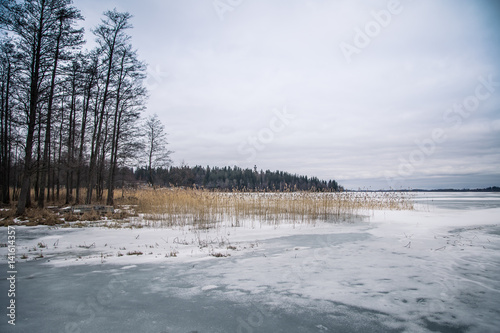 Wallpaper Mural A peaceful winter landscape with a frozen lake in overcast day Torontodigital.ca