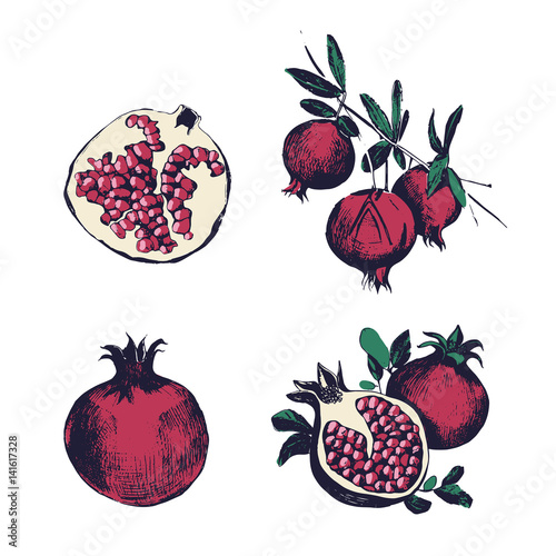 Pomegranate hand drawn set. Collection on white background, isolated fruit wh...