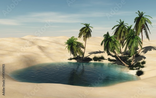 Beautiful oasis in the sandy desert, palm trees on the lake, palms in the desert 