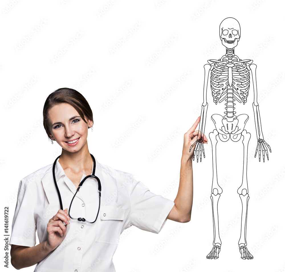 Doctor woman pointing on drawing human skeleton.