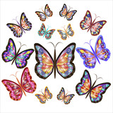 Thirteen bright motley butterflies. Vector illustration.