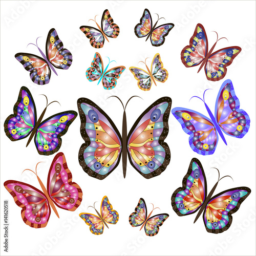 Thirteen bright motley butterflies. Vector illustration. © ocworld